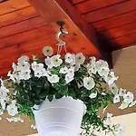 Csilla Elegant House
